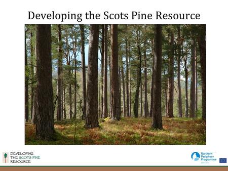 Developing the Scots Pine Resource. The Partnership Three year Northern Periphery Project involving partner s from Scotland, Finland, Norway and Sweden.