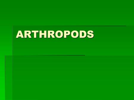 ARTHROPODS. Arthropods  (“jointed foot”)  ¾ of all animals on planet Earth! 750,000+ species….why so numerous and successful?