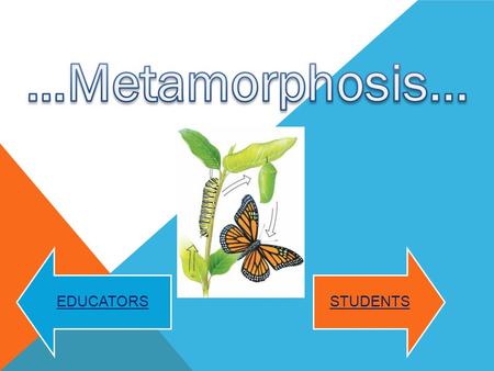 STUDENTS EDUCATORS. Click the caterpillar to go onto the next slide!