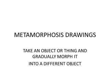 METAMORPHOSIS DRAWINGS