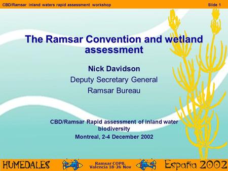 Ramsar COP8. Valencia 18-26 Nov CBD/Ramsar inland waters rapid assessment workshopSlide 1 The Ramsar Convention and wetland assessment Nick Davidson Deputy.