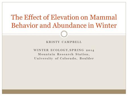 KRISTY CAMPBELL WINTER ECOLOGY,SPRING 2014 Mountain Research Station, University of Colorado, Boulder The Effect of Elevation on Mammal Behavior and Abundance.