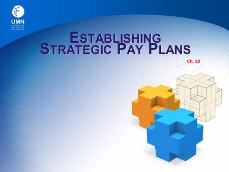 Establishing Strategic Pay Plans