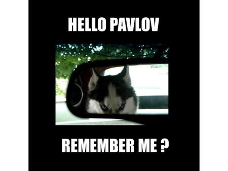 Pavlov spent the rest of his life outlining his ideas. He came up with 5 critical principles that together make up classical conditioning. Acquisition.