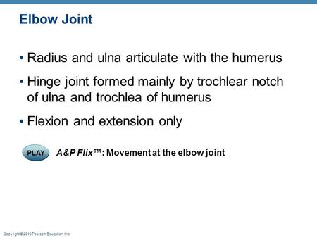 Copyright © 2010 Pearson Education, Inc. Elbow Joint Radius and ulna articulate with the humerus Hinge joint formed mainly by trochlear notch of ulna and.