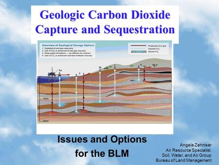 1 Issues and Options for the BLM Geologic Carbon Dioxide Capture and Sequestration Angela Zahniser Air Resource Specialist, Soil, Water, and Air Group.