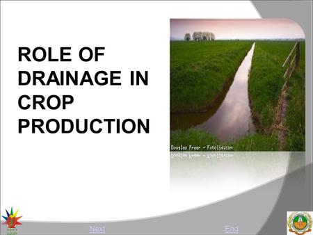 ROLE OF DRAINAGE IN CROP PRODUCTION NextEnd. Abstract Removal of excess quantity of water in both surface and sub- surfaces of root zone is called as.