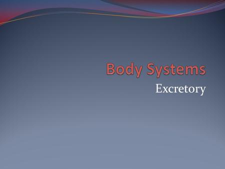 Excretory. Function Remove metabolic waste from the blood- Excretion Regulate H2O in blood Organs of excretion- Skin-water, salts and urea Lungs-CO2 Kidneys.