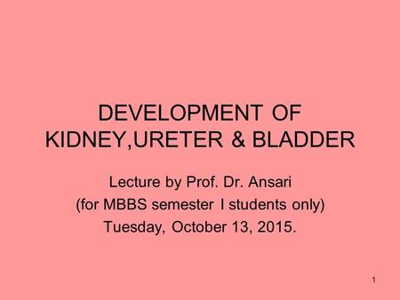 DEVELOPMENT OF KIDNEY,URETER & BLADDER