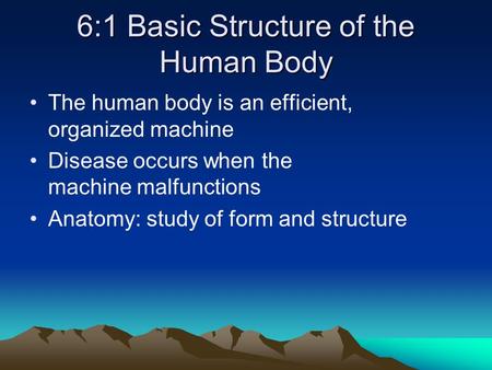 6:1 Basic Structure of the Human Body