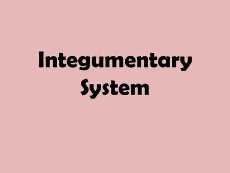 Integumentary System. Skin as an Organ Largest organ in human body All adults have 20-25 lbs of skin 4 Functions- Skin as radiator.