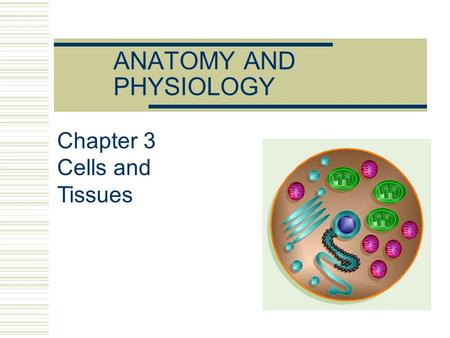 ANATOMY AND PHYSIOLOGY