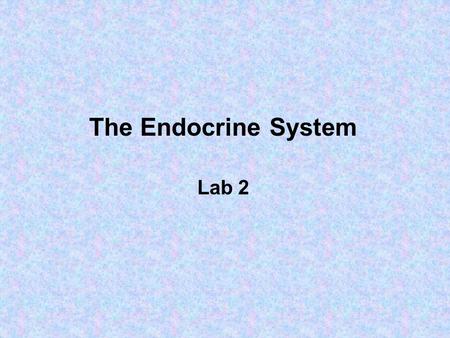 The Endocrine System Lab 2. A gland is one or more cells that makes and secretes an aqueous fluid Classified by: 1.Site of product release – endocrine.