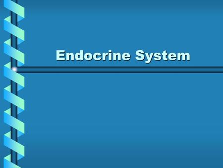 Endocrine System.