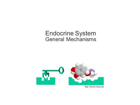 Endocrine System General Mechanisms.