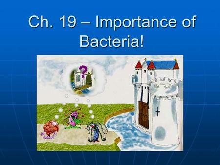 Ch. 19 – Importance of Bacteria!. Used in food – yogurt, cheese, sauerkraut Used in food – yogurt, cheese, sauerkraut Decompose dead things Decompose.