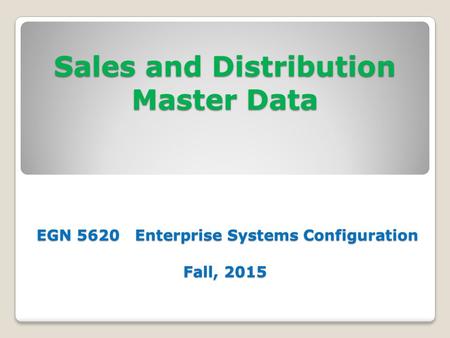 Sales & Distribution Master Data SAP Implementation