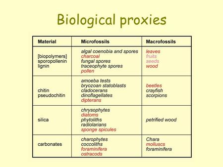 Biological proxies. Plants as indicators of terrestrial environments Tissue/organs: Support --> wood (tree rings) Photosynthetic --> leaf anatomy (stomata)