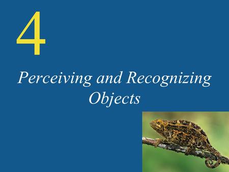 Perceiving and Recognizing Objects 4. Object Recognition Objects in the brain Extrastriate cortex: The region of cortex bordering the primary visual cortex.