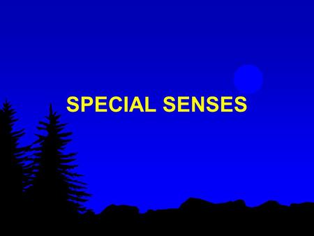 SPECIAL SENSES. the human body is very sensitive to conditions in both its internal and external environment the nervous system collects information about.