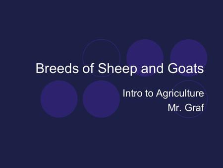 Breeds of Sheep and Goats Intro to Agriculture Mr. Graf.