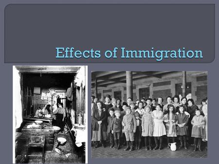  What you should have learned: Time of high anxiety 20% of immigrants failed medical exam or legal interview 2% were deported Process lasted several.