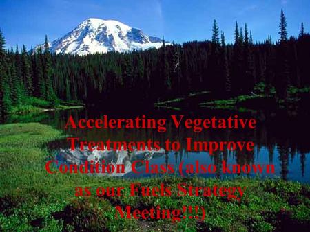 Accelerating Vegetative Treatments to Improve Condition Class (also known as our Fuels Strategy Meeting!!!)