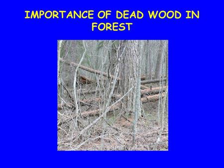 IMPORTANCE OF DEAD WOOD IN FOREST. What is dead wood and how it looks like ? Wood in various stage of decay People find it to be a mess or disorder in.