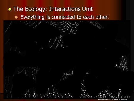 The Ecology: Interactions Unit The Ecology: Interactions Unit Everything is connected to each other. Everything is connected to each other. Copyright ©