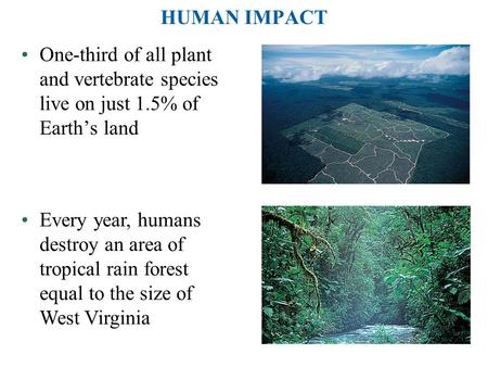 One-third of all plant and vertebrate species live on just 1.5% of Earth’s land Every year, humans destroy an area of tropical rain forest equal to the.