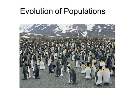 Evolution of Populations