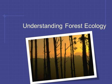 Understanding Forest Ecology. Next Generation Science / Common Core Standards Adderessed! HS ‐ LS1 ‐ 5. Use a model to illustrate how photosynthesis transforms.