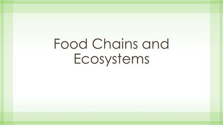 Food Chains and Ecosystems