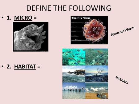 DEFINE THE FOLLOWING 1. MICRO = 2. HABITAT = Parasitic Worm HABITATS.