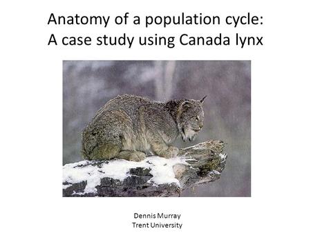 Anatomy of a population cycle: A case study using Canada lynx Dennis Murray Trent University.