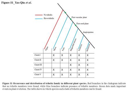 Figure S1_Yao Qin et al. Figure S1 Occurrence and distribution of trihelix family in different plant species. Red branches in the cladogram indicate that.