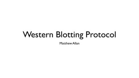 Western Blotting Protocol