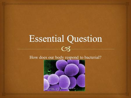 How does our body respond to bacterial?. What is Staphylococcus? How does it enters our body? How can one prevent from entering the body?