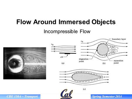 Flow Around Immersed Objects