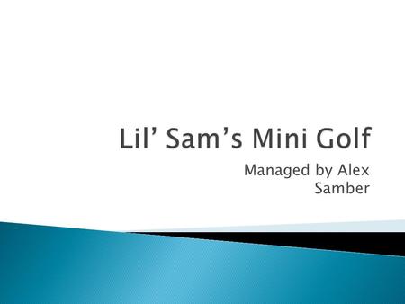 Managed by Alex Samber.  Miniature golf courses  Indoor and outdoor courses  Glow in the dark  Start up business  Service  Market penetration.