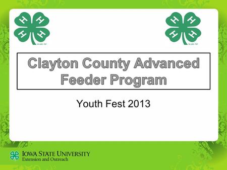 Youth Fest 2013. Fun Friends-friends and youth/adult partners valued. Education-Expanded program education beyond the show ring. A deeper understanding.