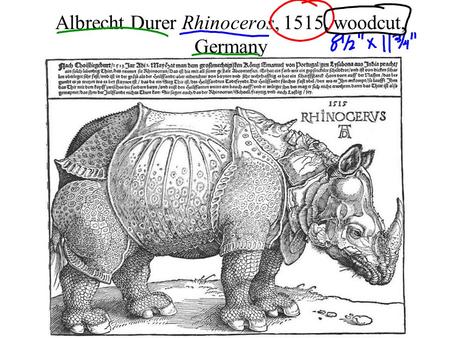 Albrecht Durer Rhinoceros, 1515, woodcut, Germany.