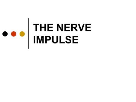 THE NERVE IMPULSE. Cells and membrane potentials All animal cells generate a small voltage across their membranes This is because there is a large amount.