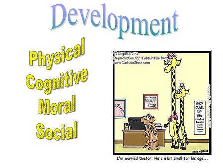 Human Development: Major Issues Nature/Nurture –Genes/Environment Continuity and Stages –Stage Theorists: Piaget, Kohlberg, Erikson Stability/Change –Born.