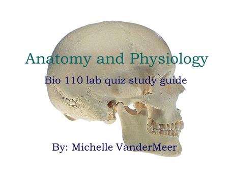 Anatomy and Physiology