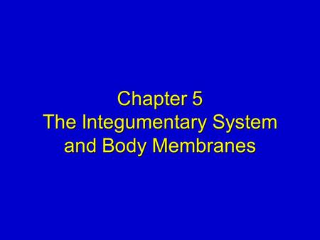 Chapter 5 The Integumentary System and Body Membranes