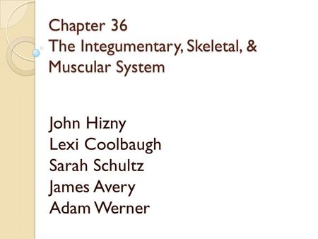 Chapter 36 The Integumentary, Skeletal, & Muscular System John Hizny Lexi Coolbaugh Sarah Schultz James Avery Adam Werner.