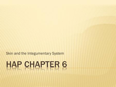 Skin and the Integumentary System. A. Functions… 1. protective covering 2. homeostasis 3. regulate body temp. 4. prevents water loss 5. sensory receptors.