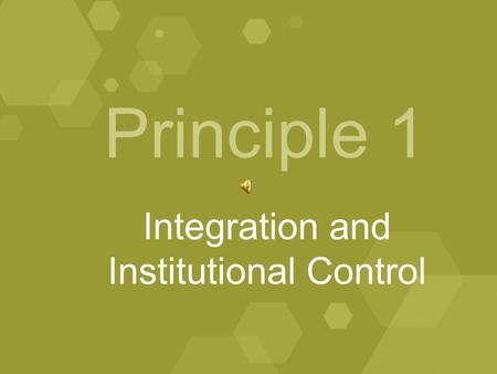 Principle 1 Integration and Institutional Control.