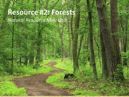 Resource #2: Forests Natural Resource Mini Unit. Resource #2: Forests Forests are renewable resources Forests are valuable to hikers, campers, painters,